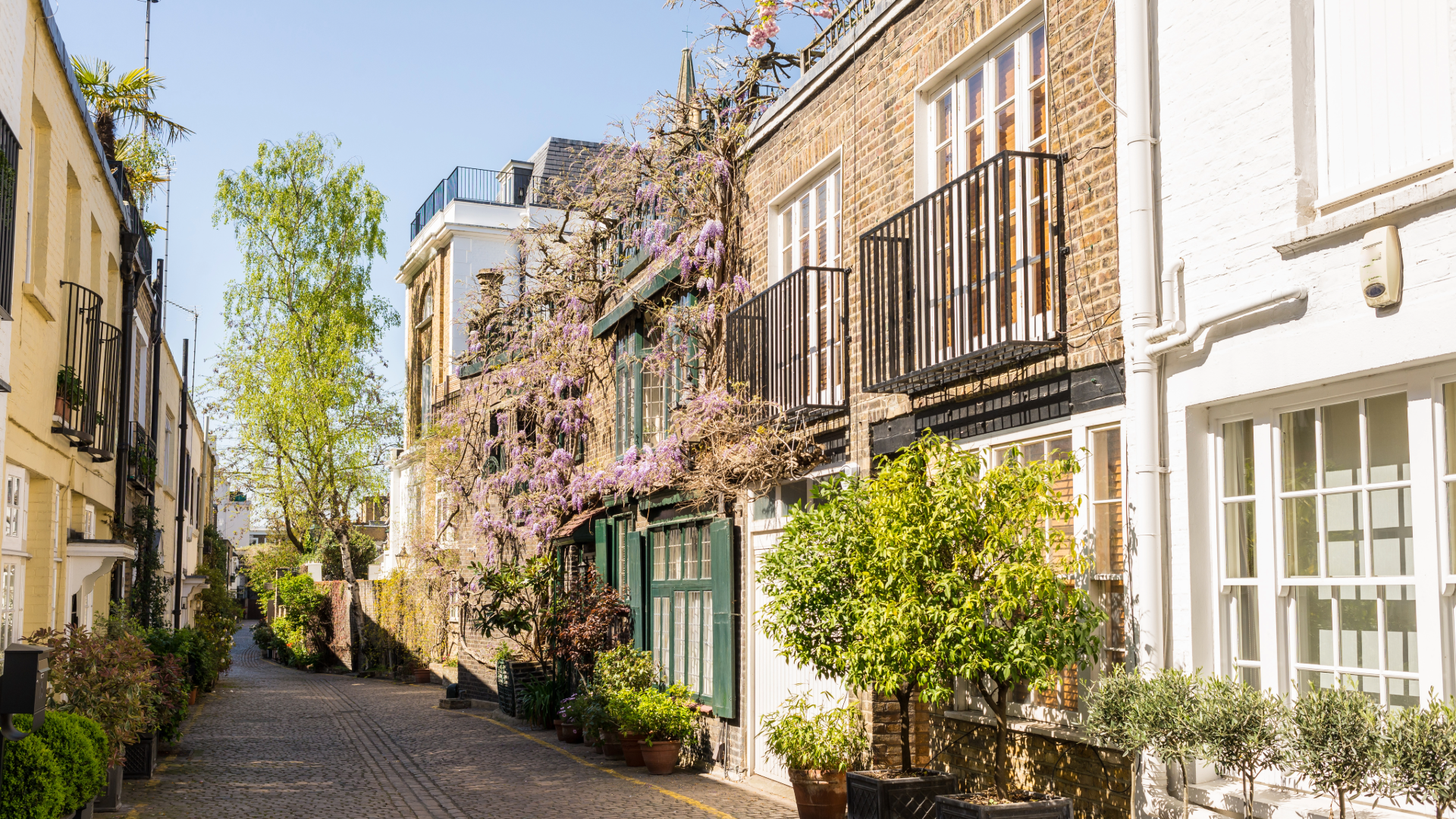 Cobbled mews street in South Kensington, London, lined with period townhouses and wisteria in bloom.